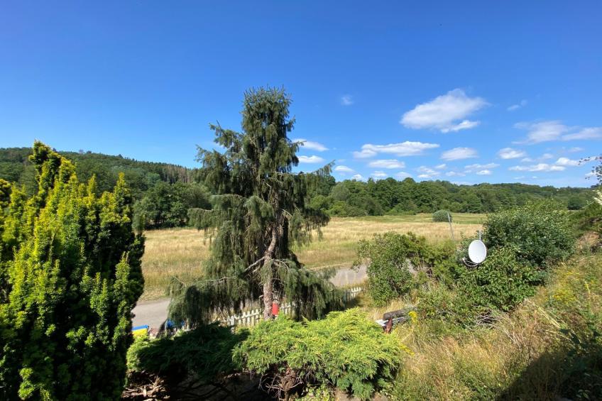 Eifelcottage Rotkehlchen mitten in der Natur - foto 9