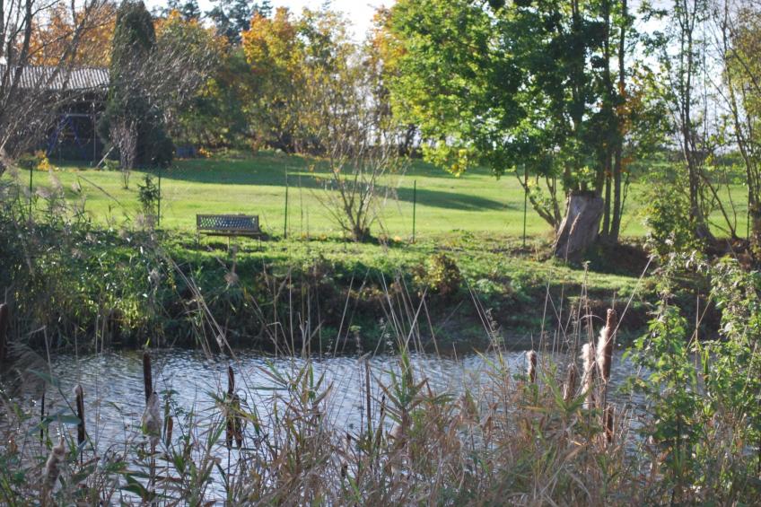 Blockhaus mit eigenem See - foto 42