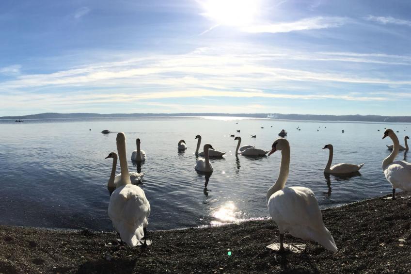 Ferienvilla mit Garten, Grill und Terrasse - foto 16