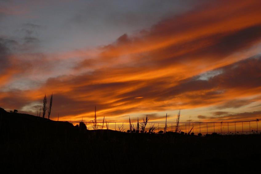 Wohnung 4 - Studio - foto 41