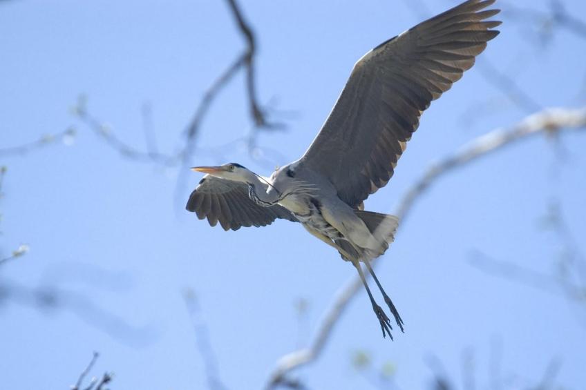 Appartementen, Rekowo - Type B - foto 16