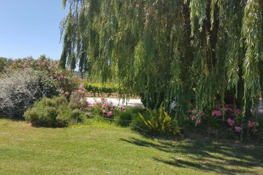 Villa Rose - foto 36
