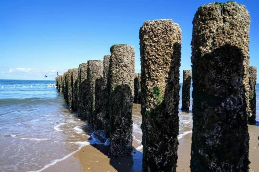 Kon Emmaweg 26 4354 NE Vrouwenpolder 4p - foto 30