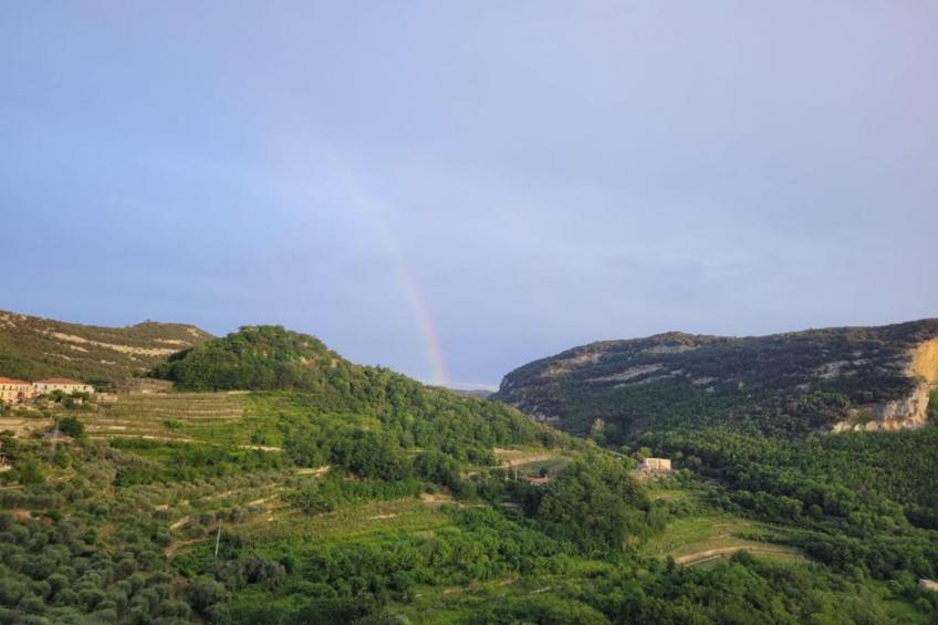 Nidino del Gufo - foto 36