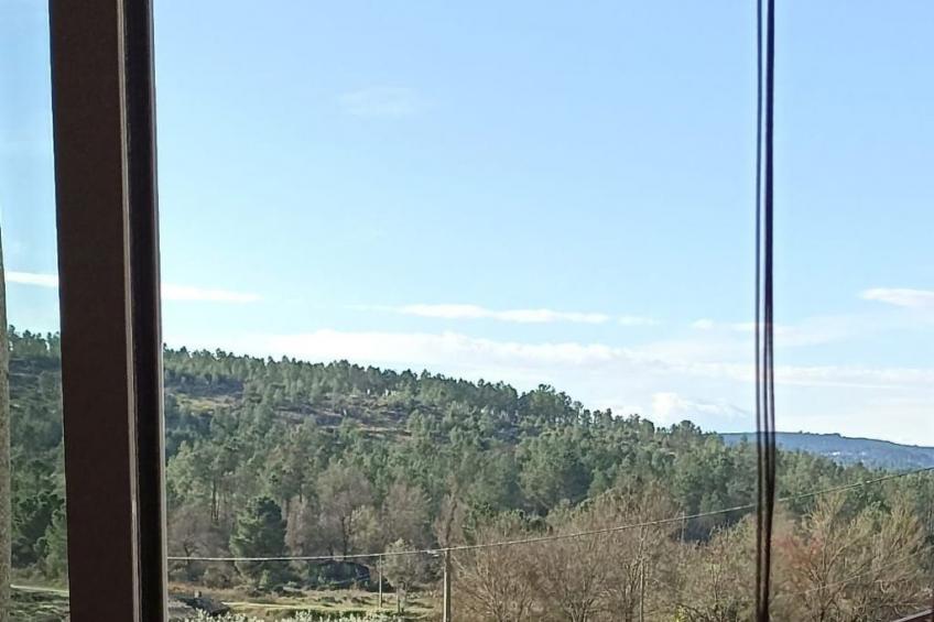 Ferien auf dem Bauernhof mit Weinberg - foto 15