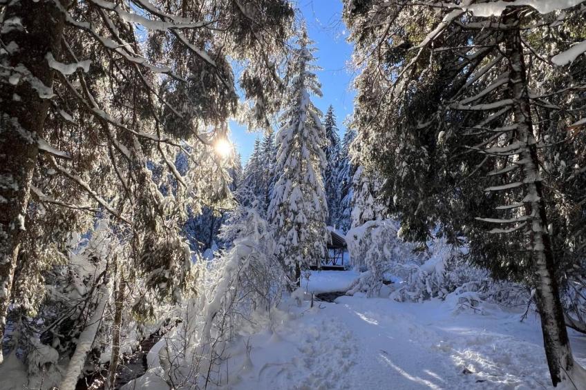 Peak App., Morgins - foto 19