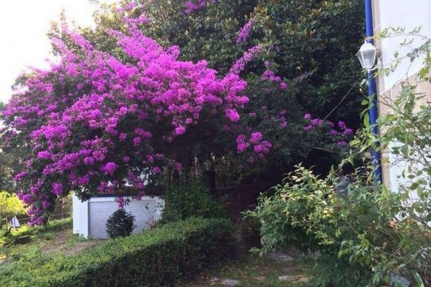 für 12 Personen und 2 Kinder in Redondela, Costa Verde Spanien (Rías Baixas) - foto 7