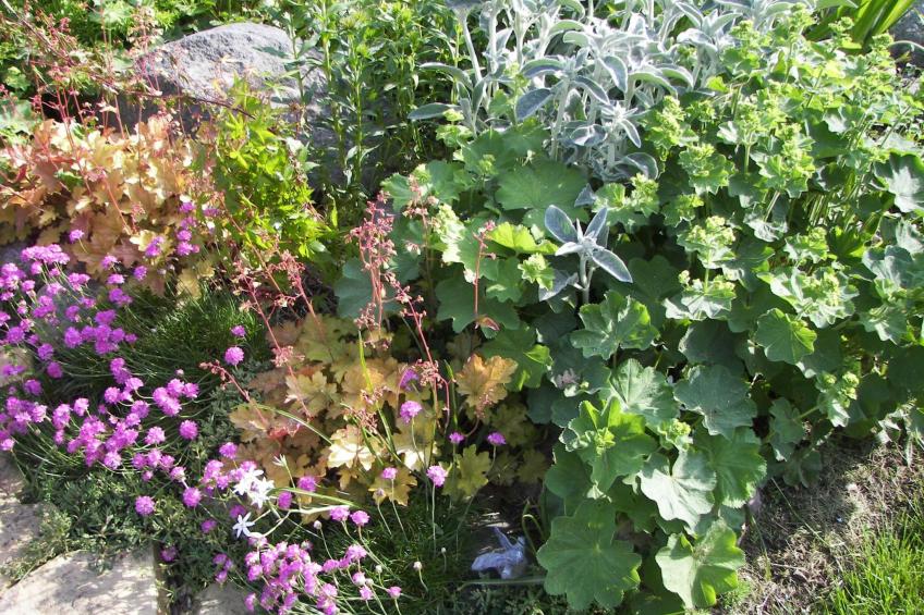 in ruhiger Lage am Waldrand - foto 14