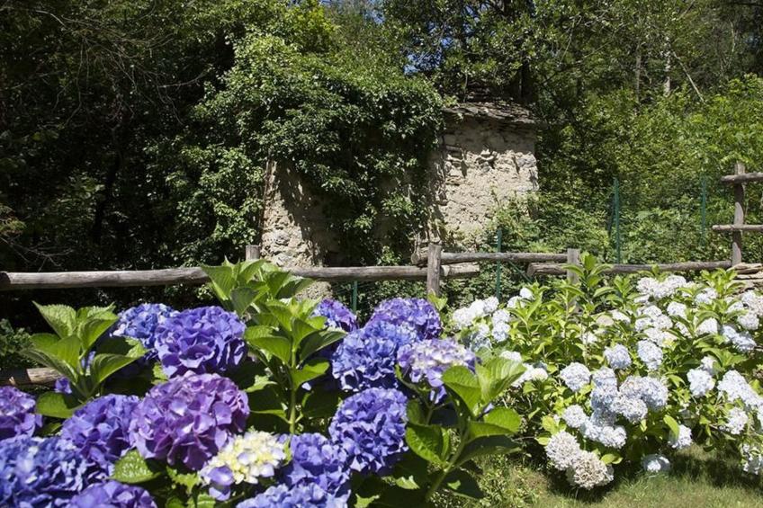 Lampone in San Bernardino Verbano - foto 11