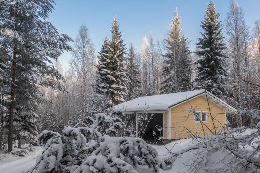 Vaarapirtti / tähti - foto 4