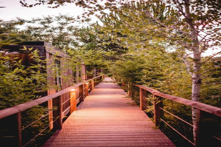 Les Sources de Manon - foto 32