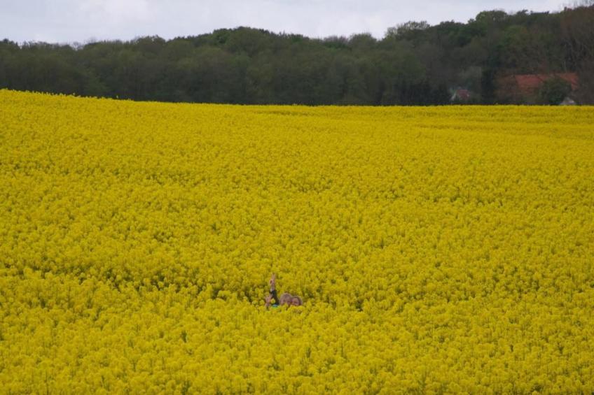 Ferienhaus Hohenkirchen - foto 23