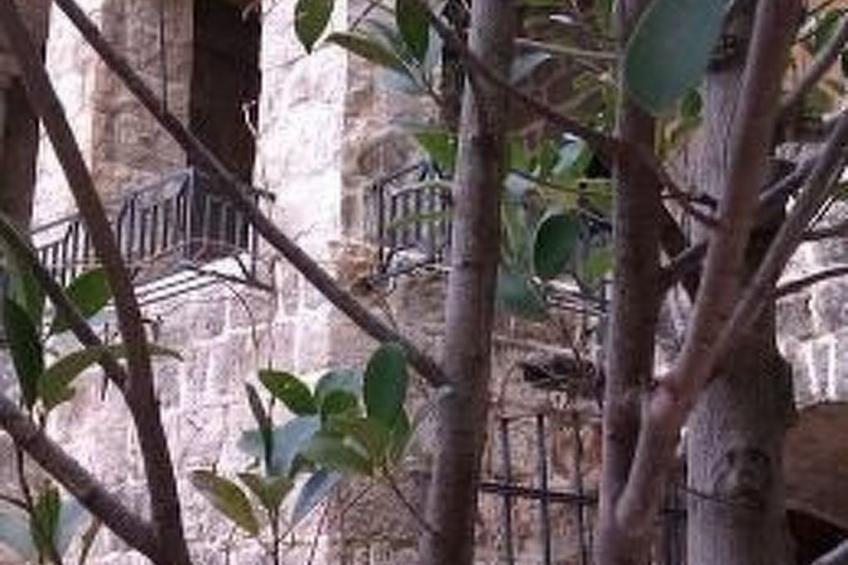 Villa Viktoria - foto 18