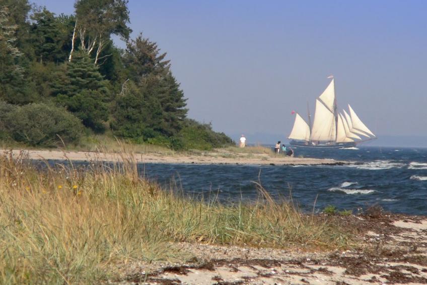 "Rina" - 30m to the inlet in The Liim Fiord - foto 19