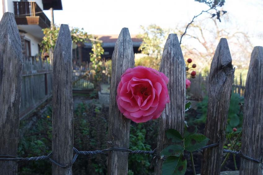 Apartment - Monteure - foto 9