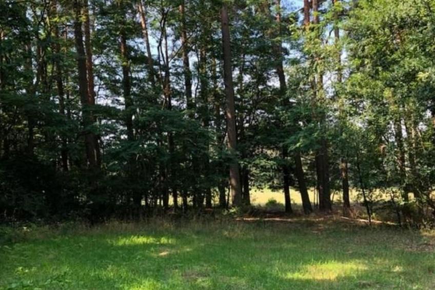 - Uns lütt Hüsung - foto 18