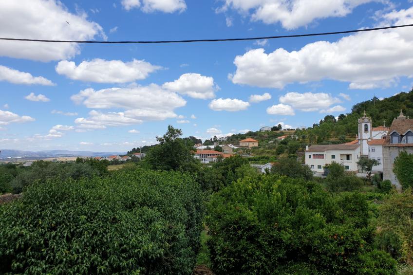 Studio "Loja Casa dos Cisnes" Serra da Estrela - foto 36