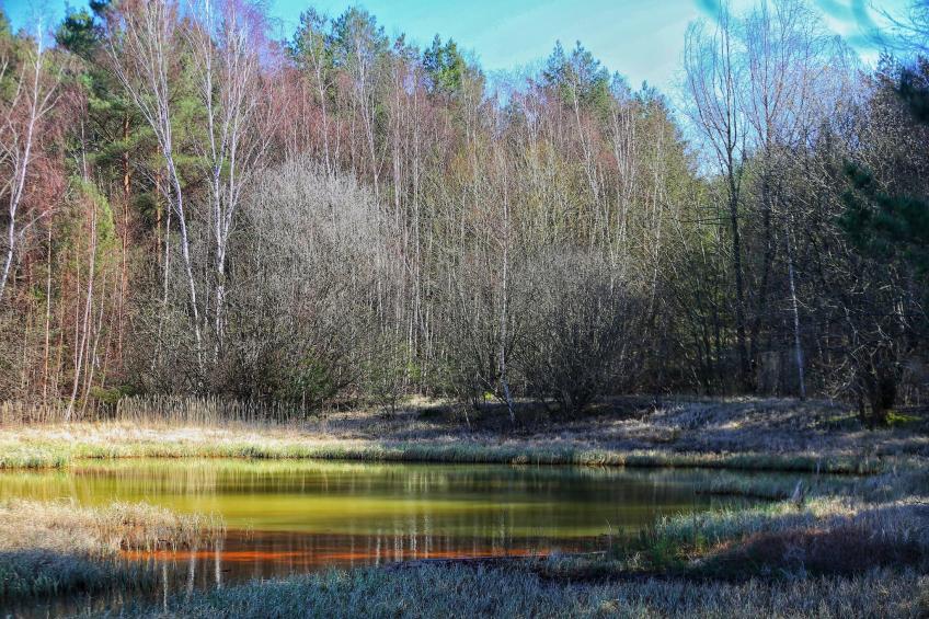 Superior Double Room - foto 29