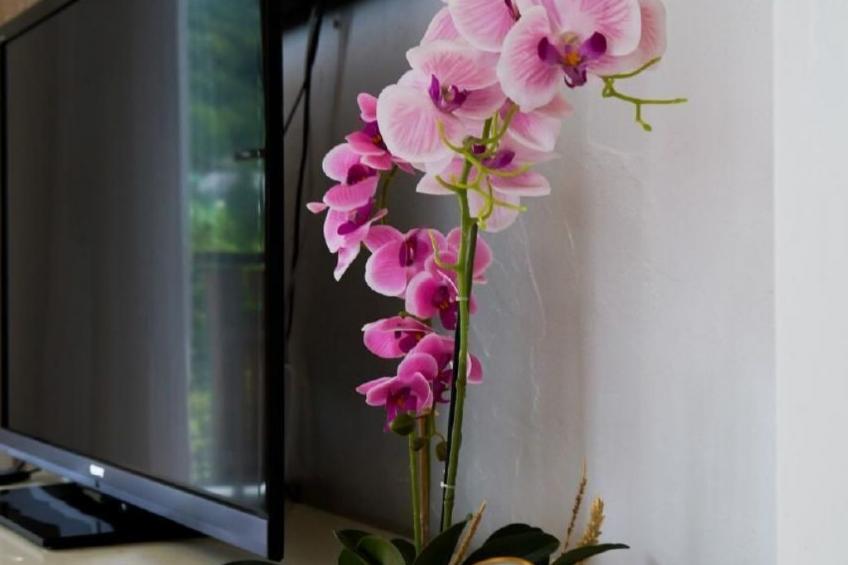 Extraordinaire Chalet - Walensee - foto 55