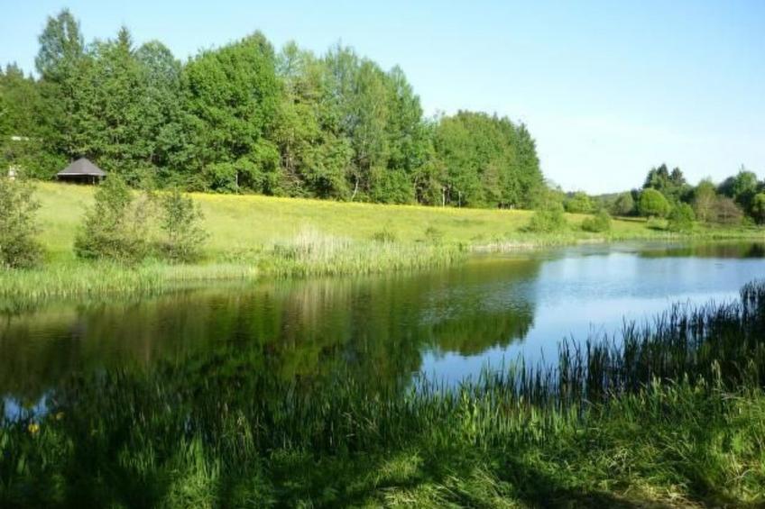 Moderne Ferienwohnung mit Gartennutzung - foto 11