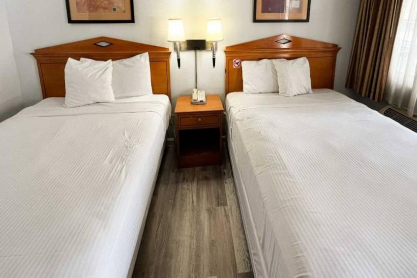 2 Queen Beds  Non-Smoking - foto 6