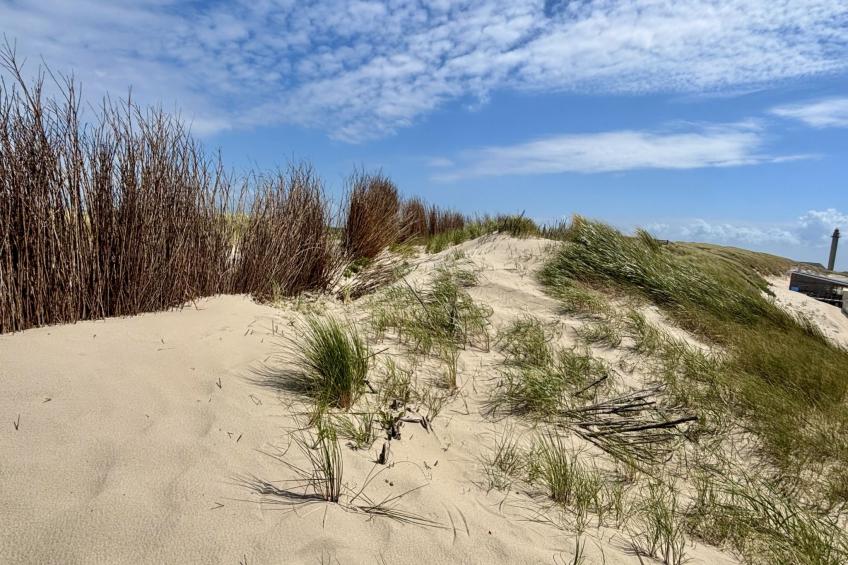 Beach House Westkapelle 105.3 - foto 28