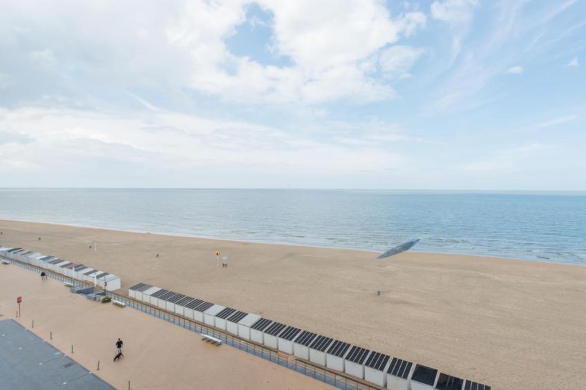 Brighton - foto 16