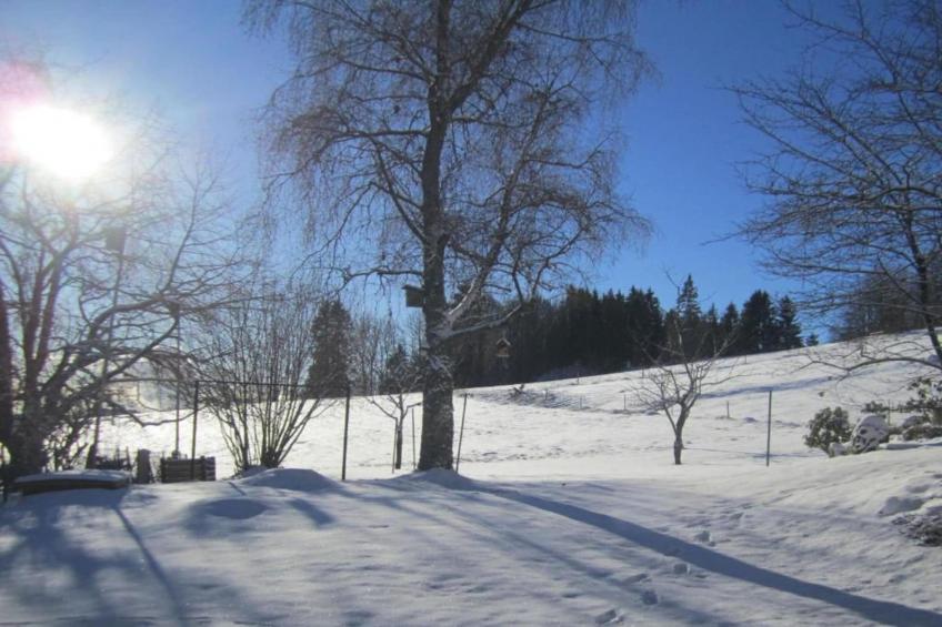 Pferdeklause - foto 37