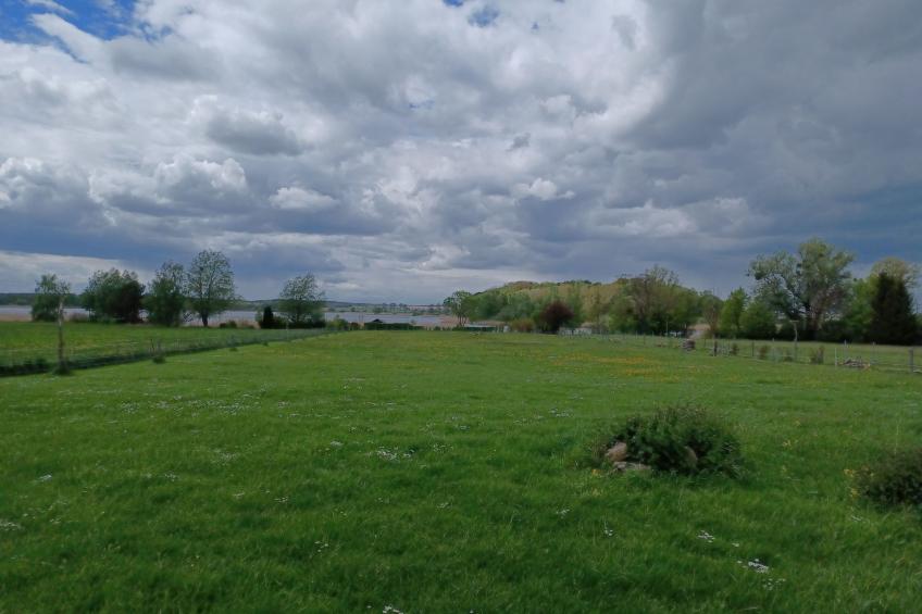 am See in Blankensee-Groß Schönfeld - foto 17