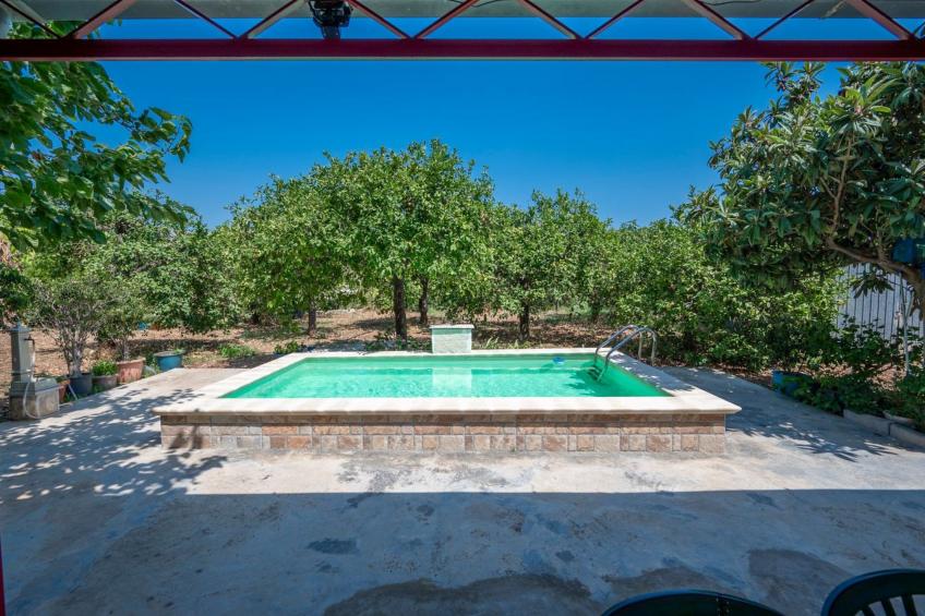 Der Zitronenhain von Nonno Corrado - foto 15