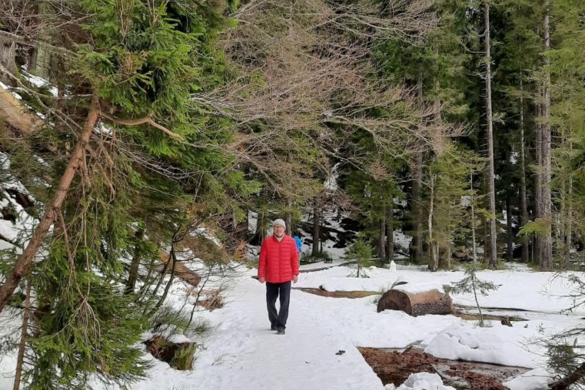 Seitz 2 in Bayerisch Eisenstein - foto 44