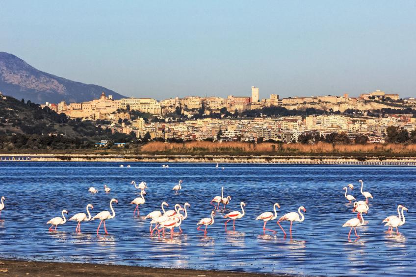 In Gehweite zum Strand - foto 19