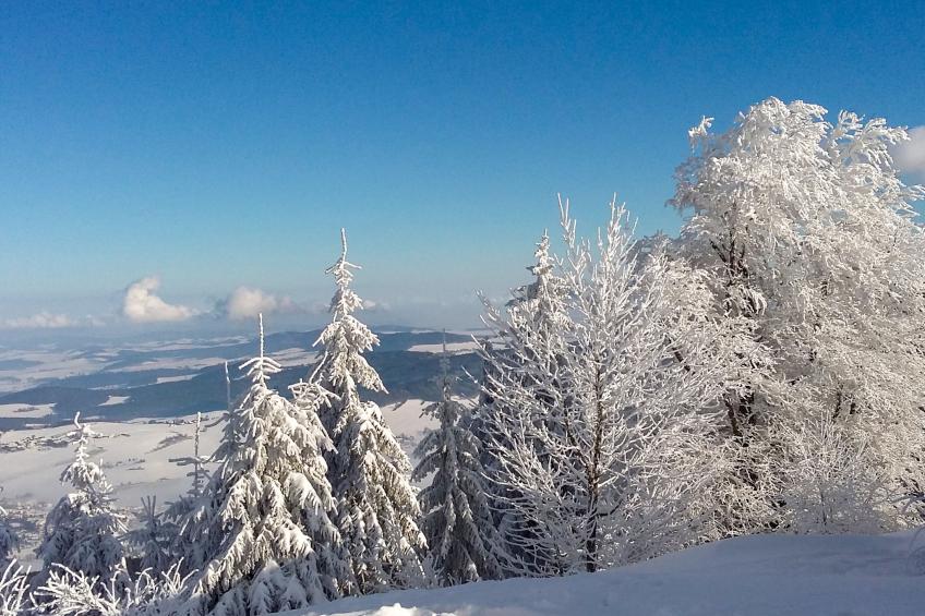 Am Hohen Bogen - foto 17