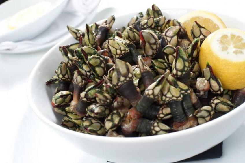 Heilige Efigenie - foto 49