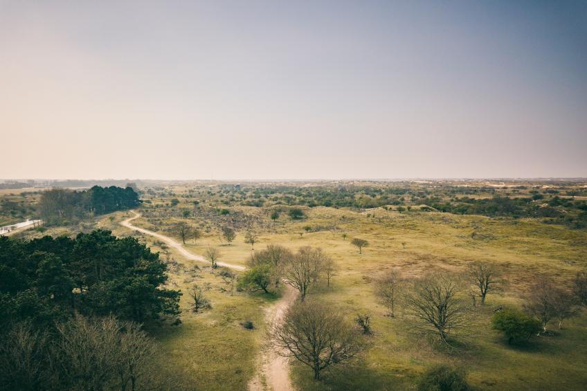 Duinresort Dunimar 3 - foto 28