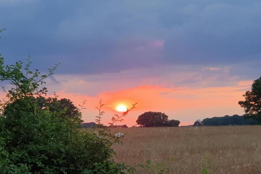 La Campagne - foto 39