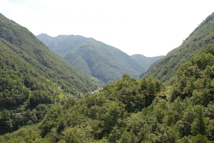 Eva-Ferienhaus - foto 83