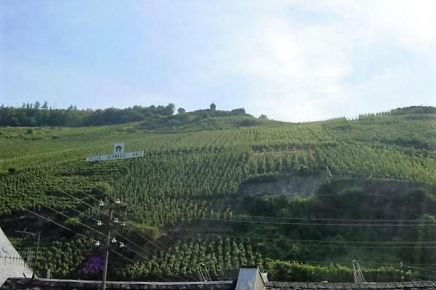 Wohnung in einem historischen Gebäude mit Balkon und Blick auf die Mosel - foto 24