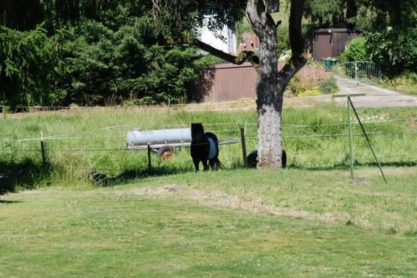 Haus SchneiderKätche - foto 29