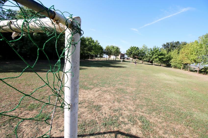 Fiordalisi - foto 32