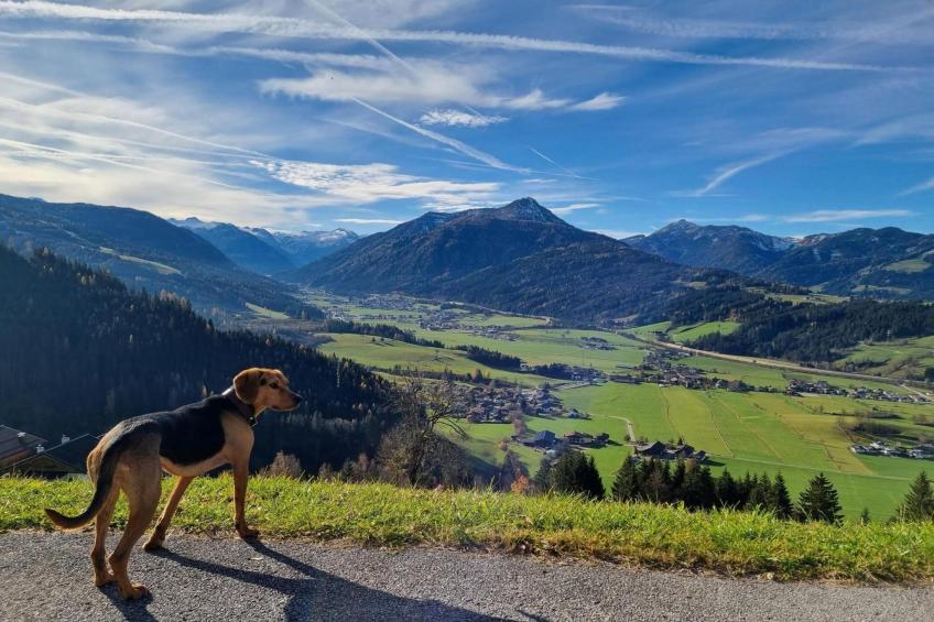 Vakantiehuis, Flachau - foto 32