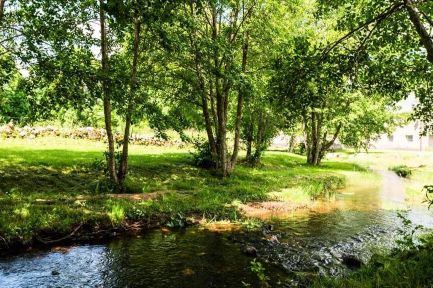 Gîte Violette d'aubrac 3/5 personnes - foto 18