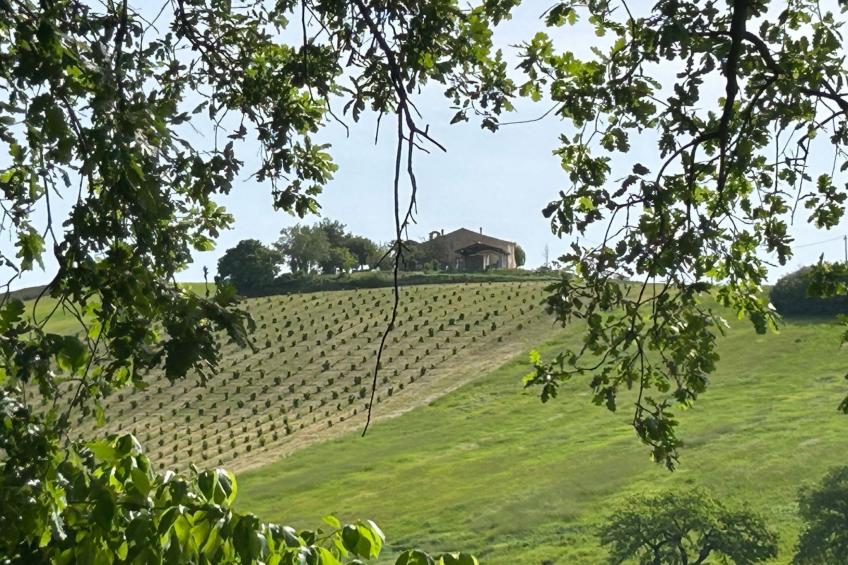 Bauernhaus Santa Maria del Monte - foto 11