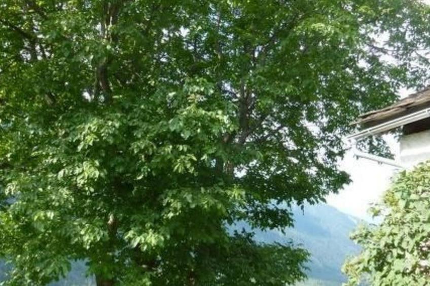 Casa Tavernela - foto 9