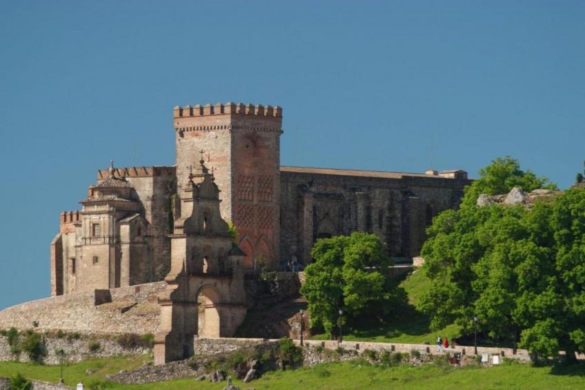 The Turtle - foto 36