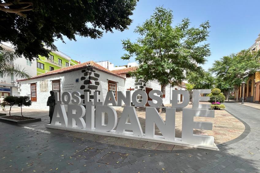 holiday home, Los Llanos de Aridane - foto 43