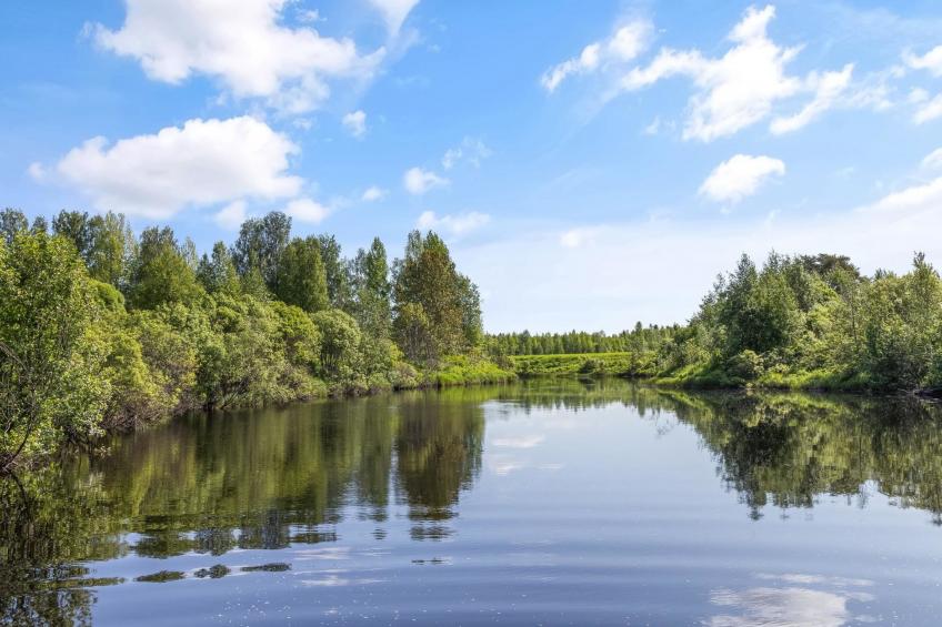 Villa river - foto 15