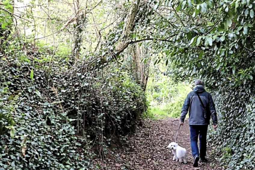 Gîte de Kerberso in Pléhédel - foto 34