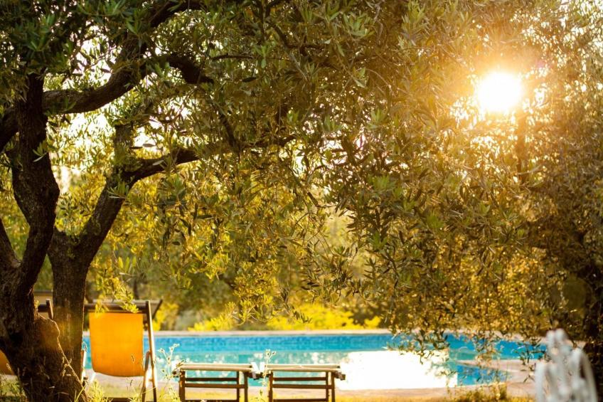 Studio-Apartment mit Garten, Grill, Pool und Aussicht - foto 33