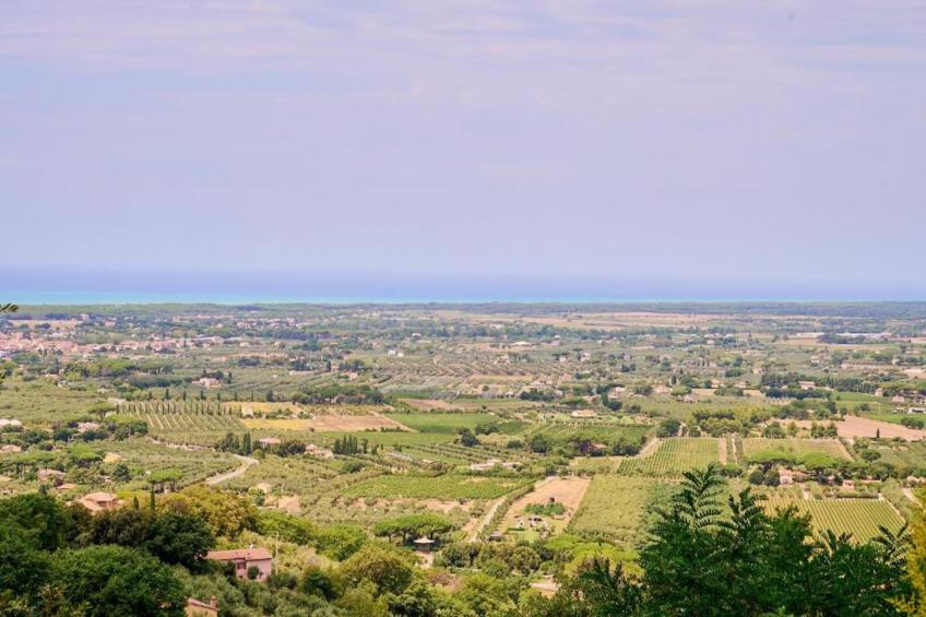 Castagneto1 - foto 23